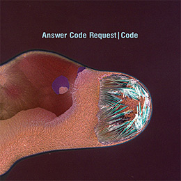 Answer Code Request - Code