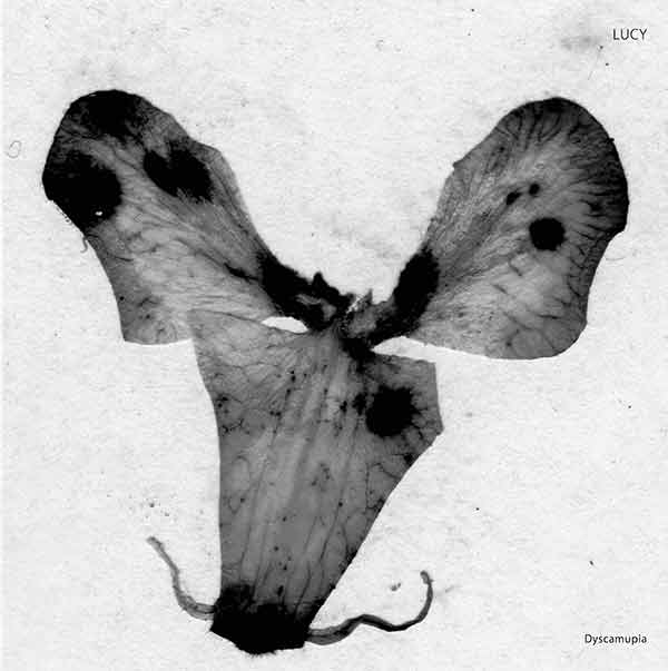 Lucy - Dyscamupia