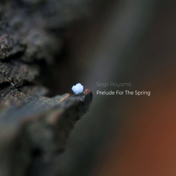 Seigo Aoyama - Prelude For The Spring