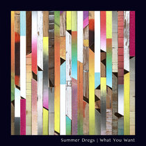 What You Want by Summer Dregs