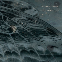 IWWA by Internal Fusion