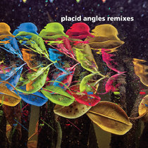 Touch The Earth Remixes by Placid Angles