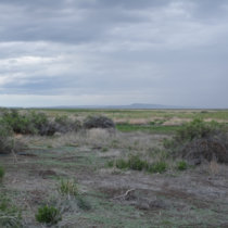 Malheur Wildlife Refuge: Late Spring by Patricia Wolf