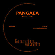 Fuzzy Logic / Still Flowing Water by Pangaea