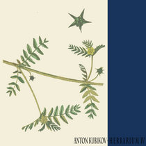 Herbarium IV by Anton Kubikov