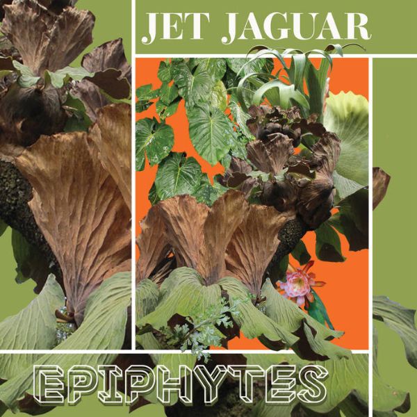 Jet Jaguar - Epiphytes