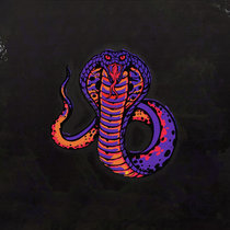 Snake EP by Nikki Nair