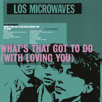 What's That Got To Do (With Loving You) by Los Microwaves