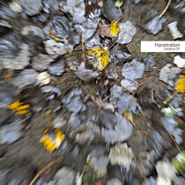 Instance EP by Hanetration