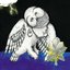 The Magnolia Electric Co. by Songs: Ohia